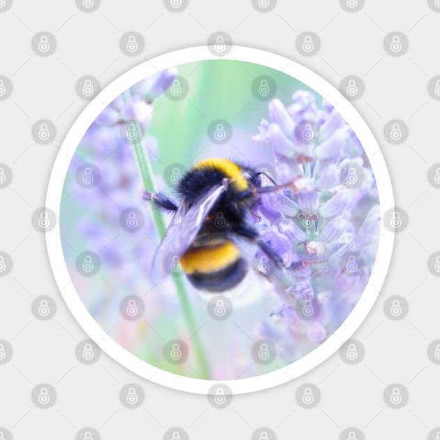 Summer Meadow Bumble Bee Magnet by Amanda Jane